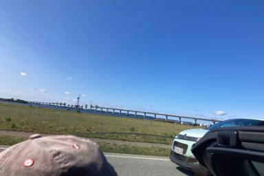 IMG_8082.jpeg IMG_8082.jpeg